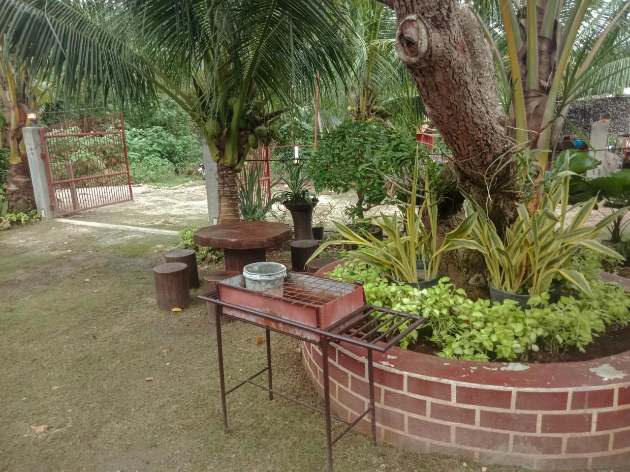 פנגלאו Pitaya Native Guest House מראה חיצוני תמונה